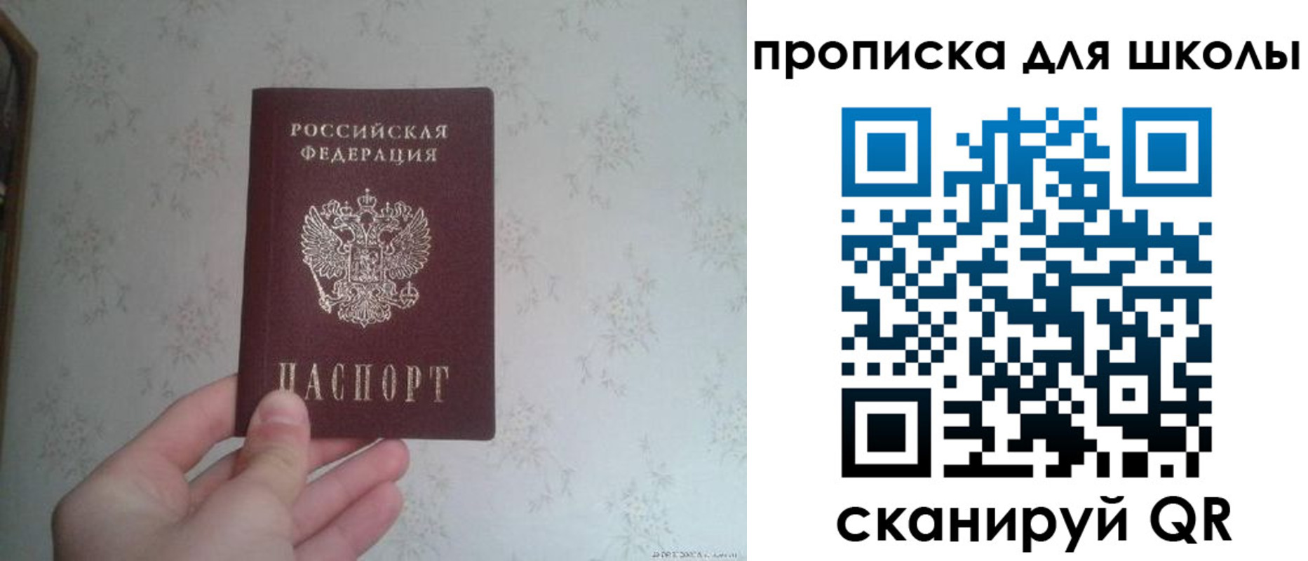 прописка в квартире в Псковской области